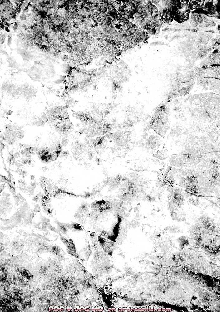 fondo blanco y negro con textura marmol 01